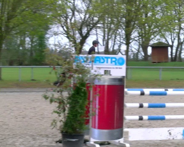 Reitturnier Elmlohe 2025