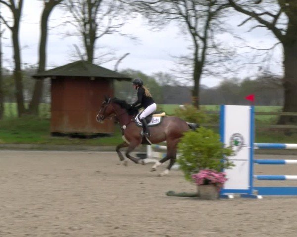 Reitturnier Elmlohe 2025
