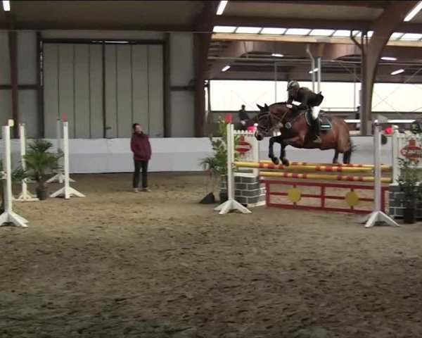 Hallenspringturnier Barlo Bocholt 2014