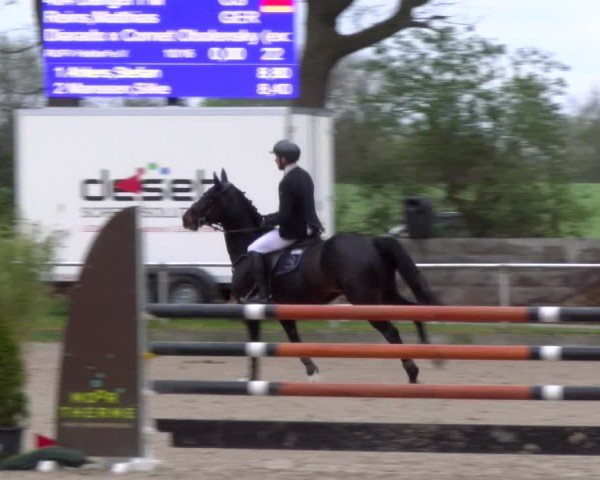 Reitturnier Elmlohe 2025