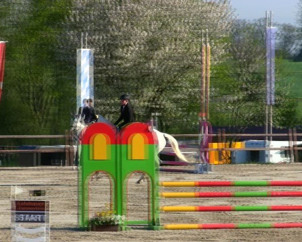Reitturnier Pöttmes - Gut Sedlbrunn/Schw. 2025