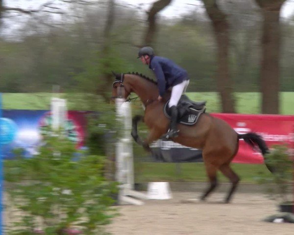 Reitturnier Elmlohe 2025