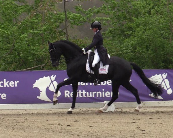 Reitturnier Scharnebeck 2025