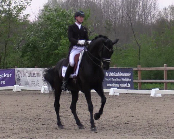 Reitturnier Scharnebeck 2025