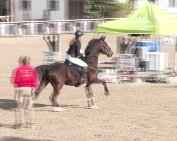 Reitturnier Margarethen am Moos 2025
