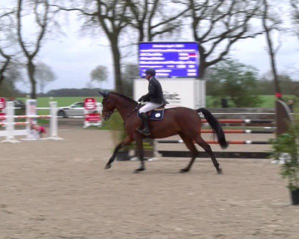 Reitturnier Elmlohe 2025