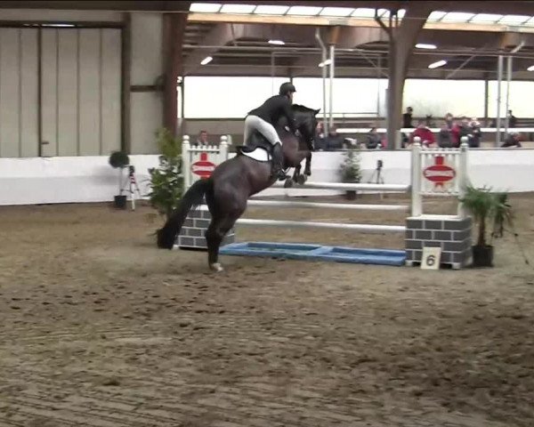 Hallenspringturnier Barlo Bocholt 2014
