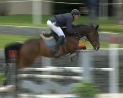 jumper Dollar Lady 2 (Bavarian, 2012, from Pacifique Enfant)