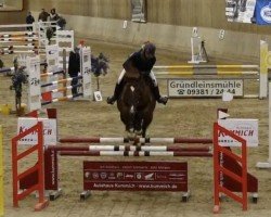 jumper Cinderella 691 (Bavarian, 2011, from Carisma 112)
