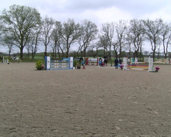 Reitturnier Elmlohe 2025