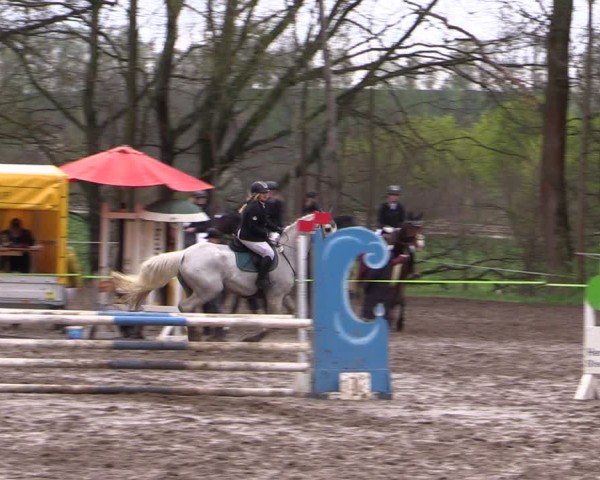 Reitturnier Langenleuba - Oberhain 2025