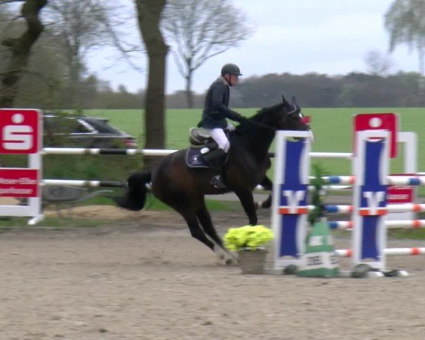 Reitturnier Elmlohe 2025