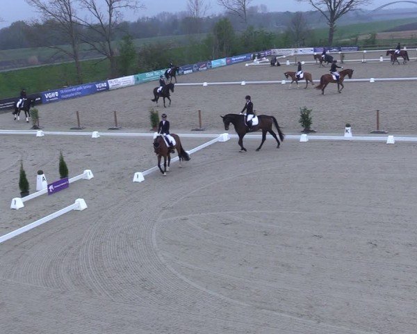 Reitturnier Scharnebeck 2025