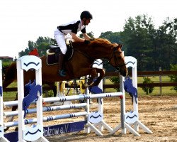 broodmare Shakira 350 (Mecklenburg, 2006, from Saverio)