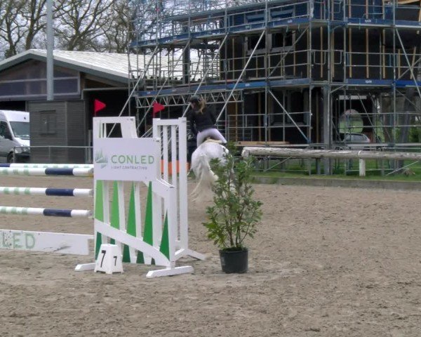 Reitturnier Elmlohe 2025