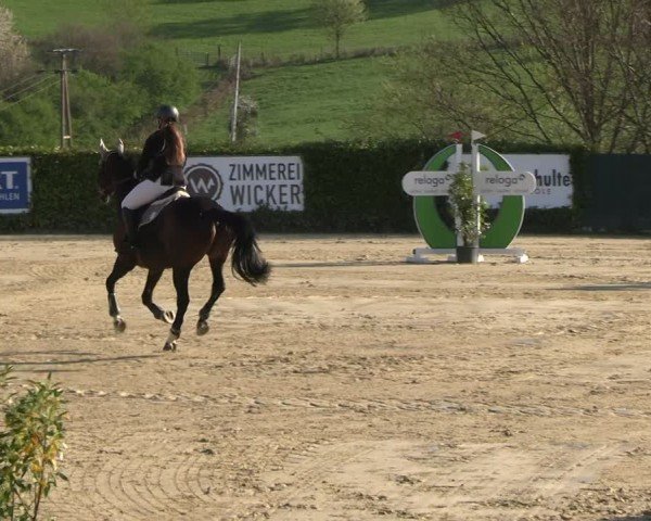 Reitturnier Lindlar-Süttenbach 2025