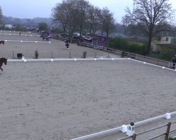 Reitturnier Scharnebeck 2025