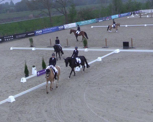 Reitturnier Scharnebeck 2025