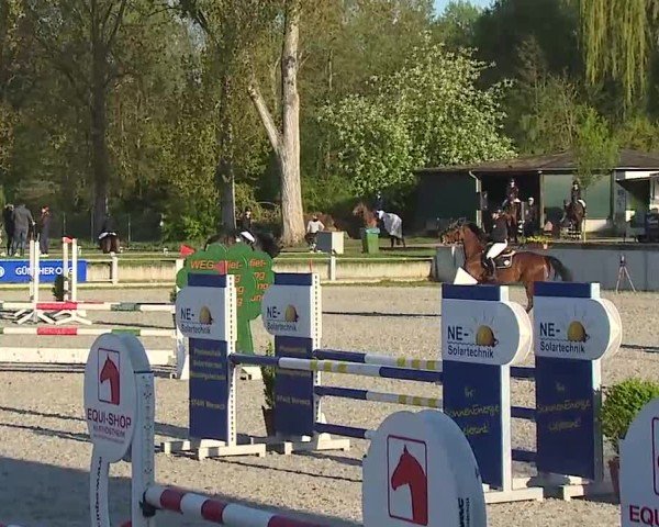 Reitturnier Grafenrheinfeld/Ufr. 2025