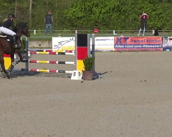 Reitturnier Grafenrheinfeld/Ufr. 2025