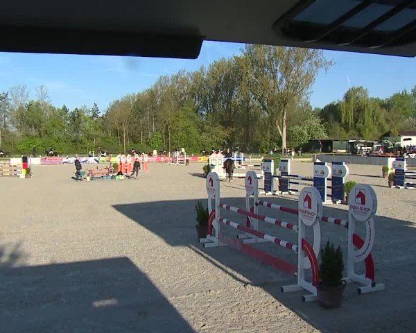 Reitturnier Grafenrheinfeld/Ufr. 2025