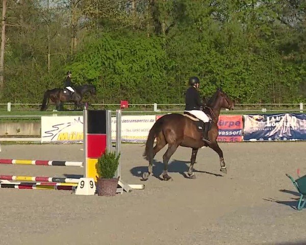 Reitturnier Grafenrheinfeld/Ufr. 2025