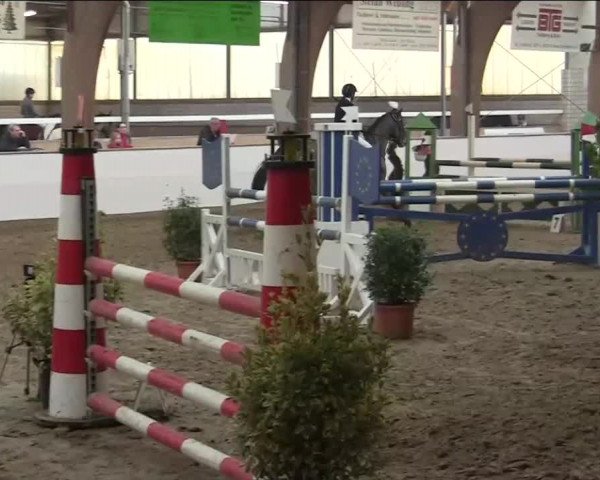 Hallenspringturnier Barlo Bocholt 2014
