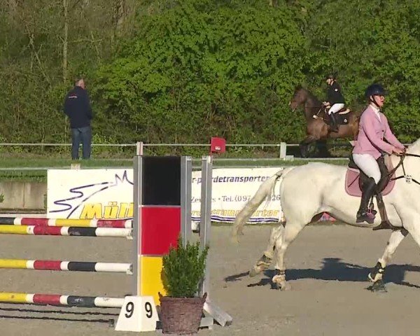 Reitturnier Grafenrheinfeld/Ufr. 2025