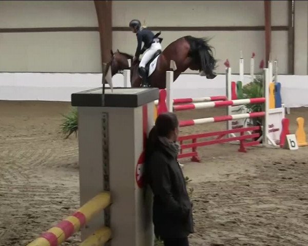 Hallenspringturnier Barlo Bocholt 2014