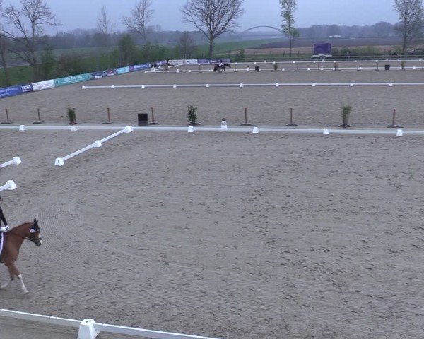 Reitturnier Scharnebeck 2025