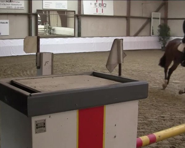 Hallenspringturnier Barlo Bocholt 2014