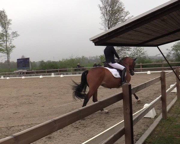 Reitturnier Scharnebeck 2025