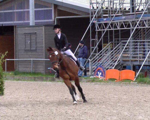 Reitturnier Elmlohe 2025