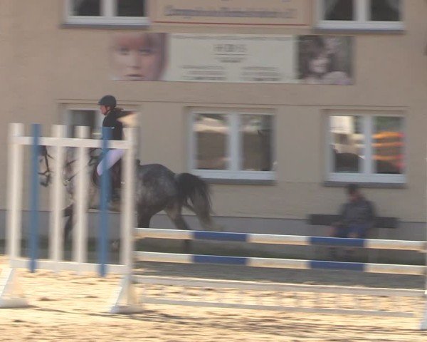 Reitturnier Langenleuba - Oberhain 2025