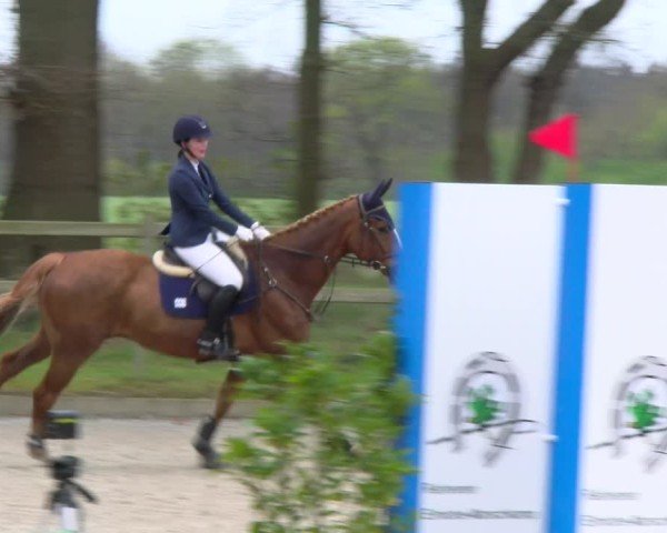 Reitturnier Elmlohe 2025