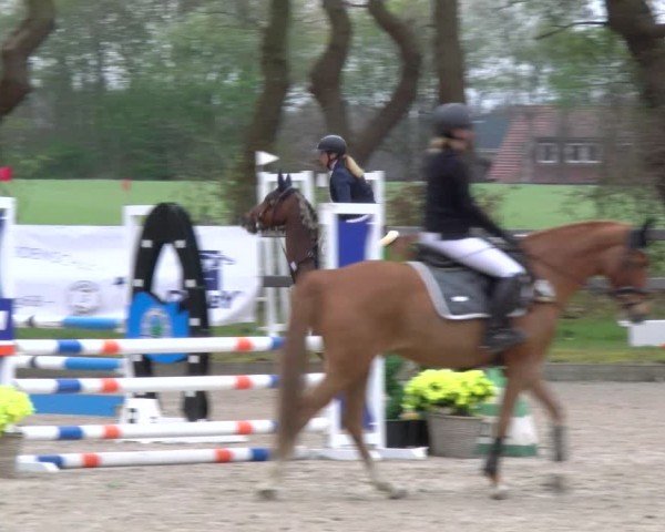 Reitturnier Elmlohe 2025