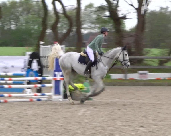 Reitturnier Elmlohe 2025