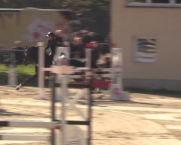 Reitturnier Langenleuba - Oberhain 2025