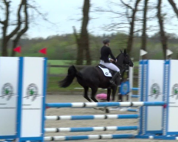 Reitturnier Elmlohe 2025