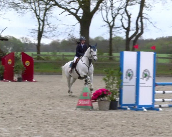 Reitturnier Elmlohe 2025