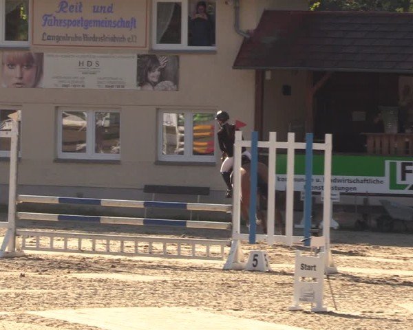 Jezdecký turnaj Langenleuba - Oberhain 2025