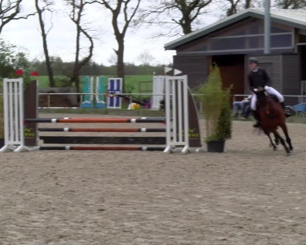 Reitturnier Elmlohe 2025