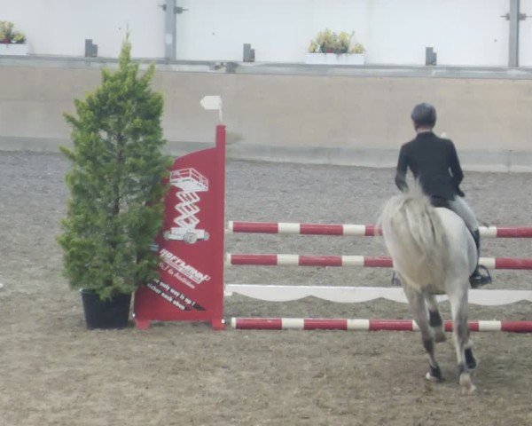 Reitturnier Waghäusel-Wiesental 2025