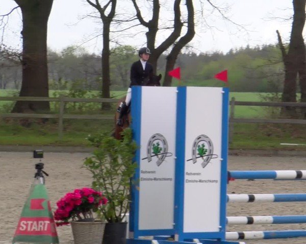 Reitturnier Elmlohe 2025