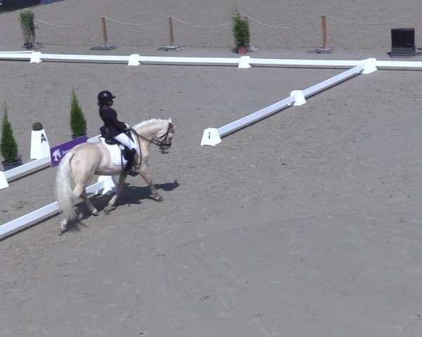 Reitturnier Scharnebeck 2025