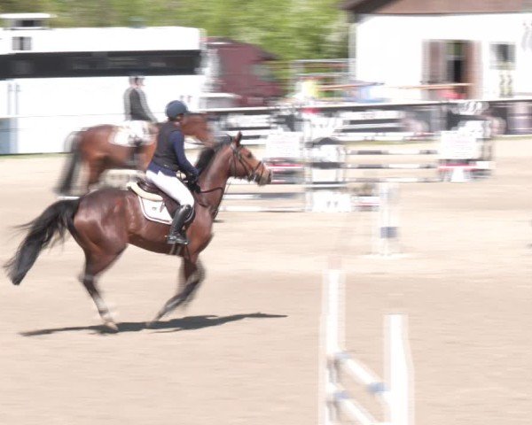 Reitturnier Margarethen am Moos 2025