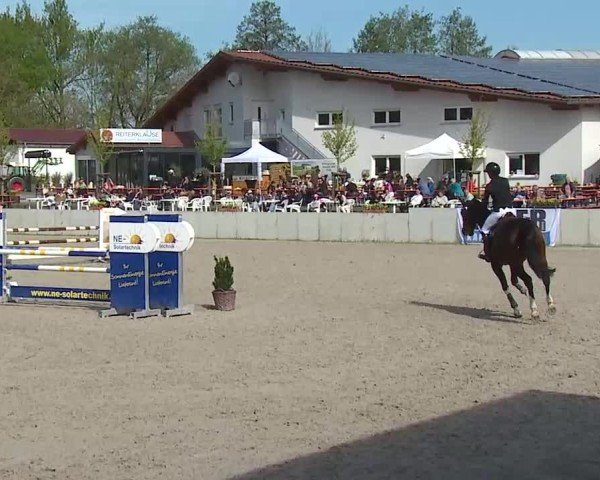 Reitturnier Grafenrheinfeld/Ufr. 2025