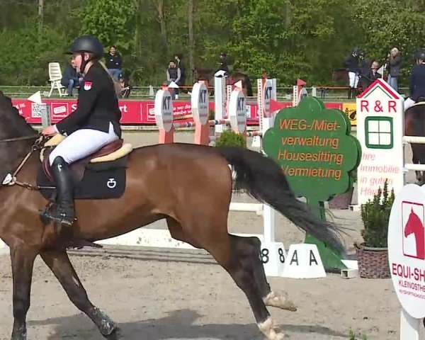 Reitturnier Grafenrheinfeld/Ufr. 2025