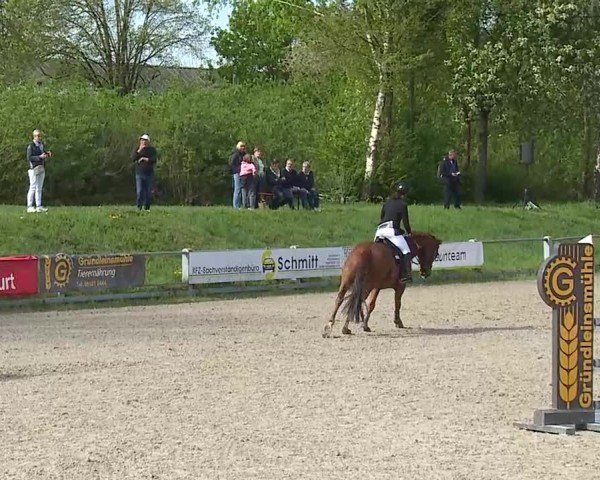 Reitturnier Grafenrheinfeld/Ufr. 2025