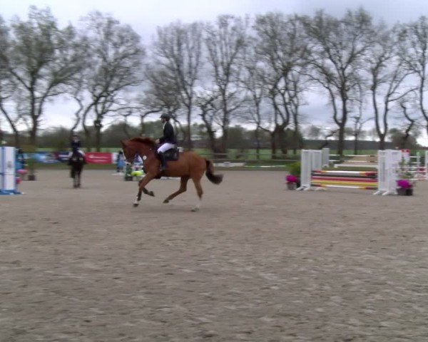Reitturnier Elmlohe 2025